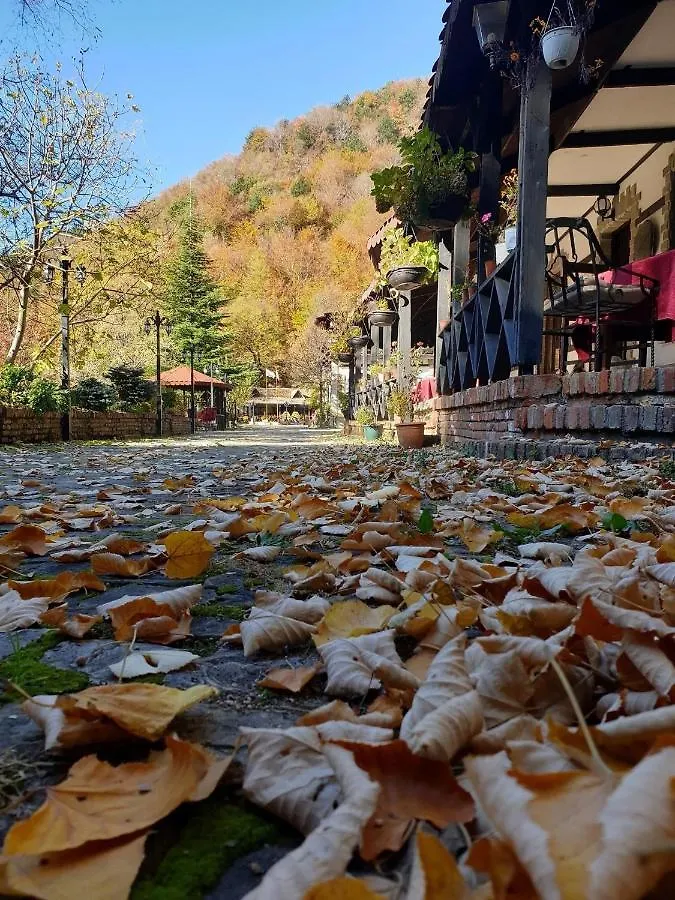 King Park Resort 4*, Tirana